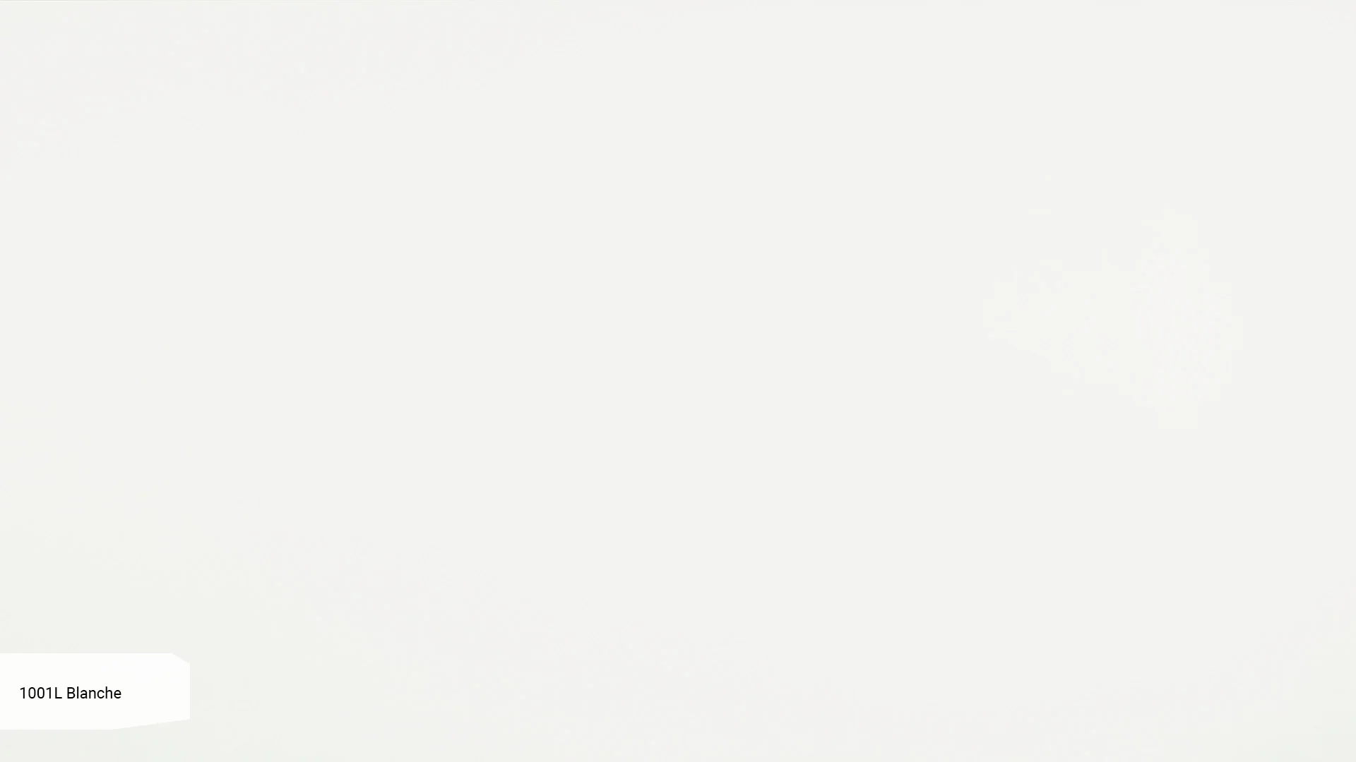 1001L-Blanche