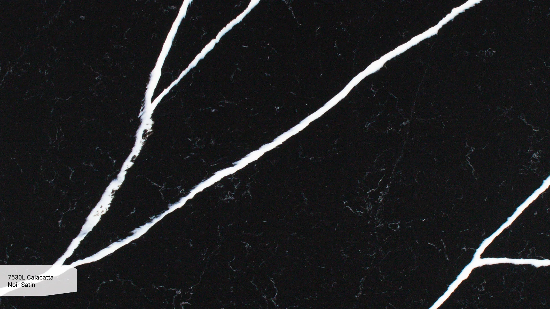 Calacatta Noir Satin